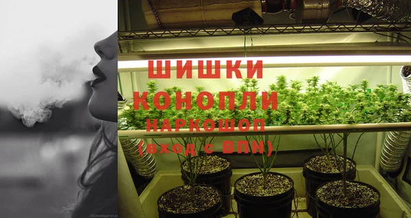 ешки Сосновоборск